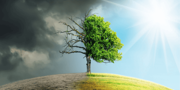 Climate risk accountability in the spotlight