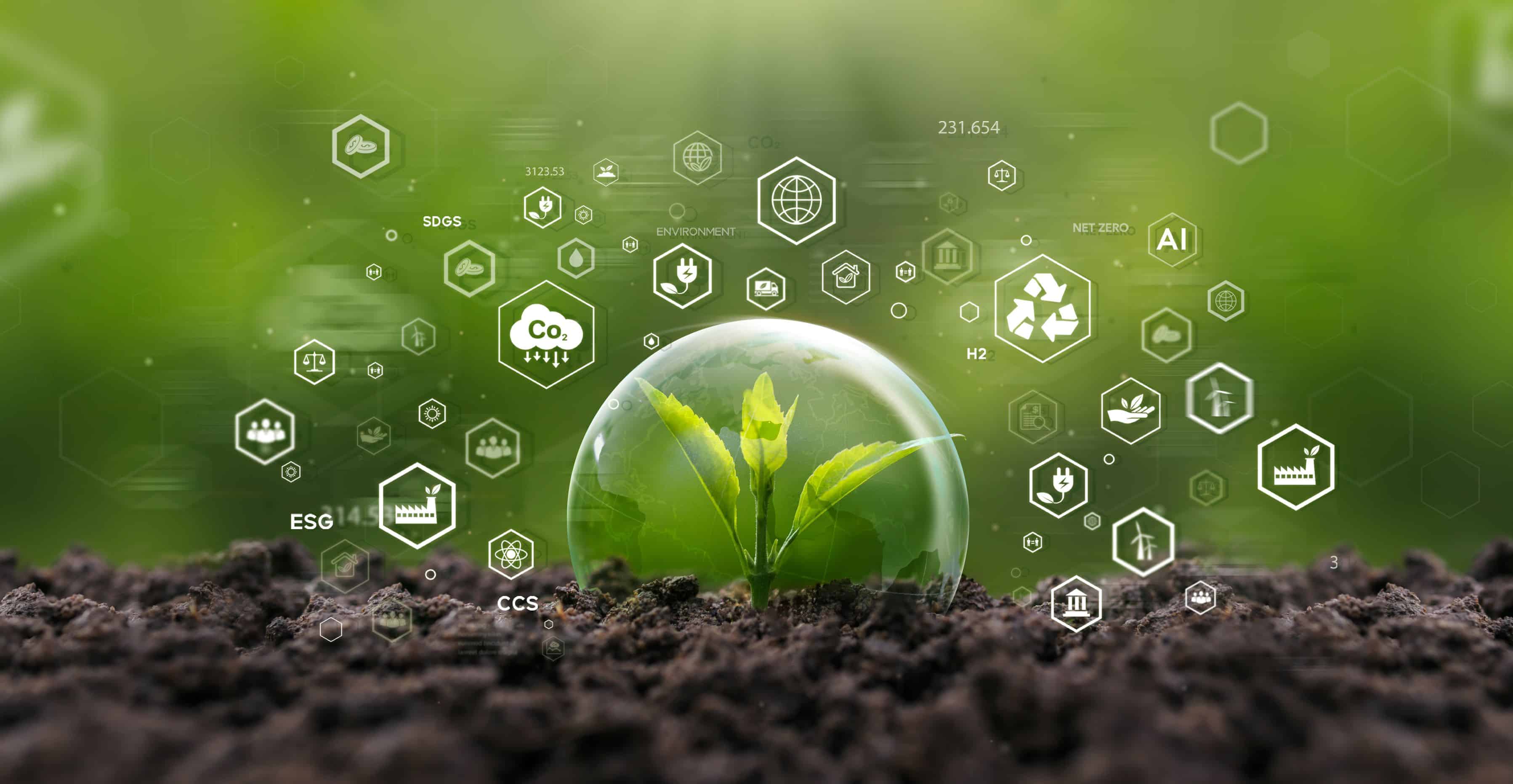 Growing seedling. With green forest icon